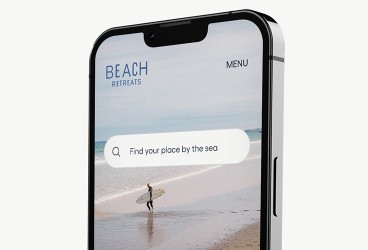 Beach and surfers