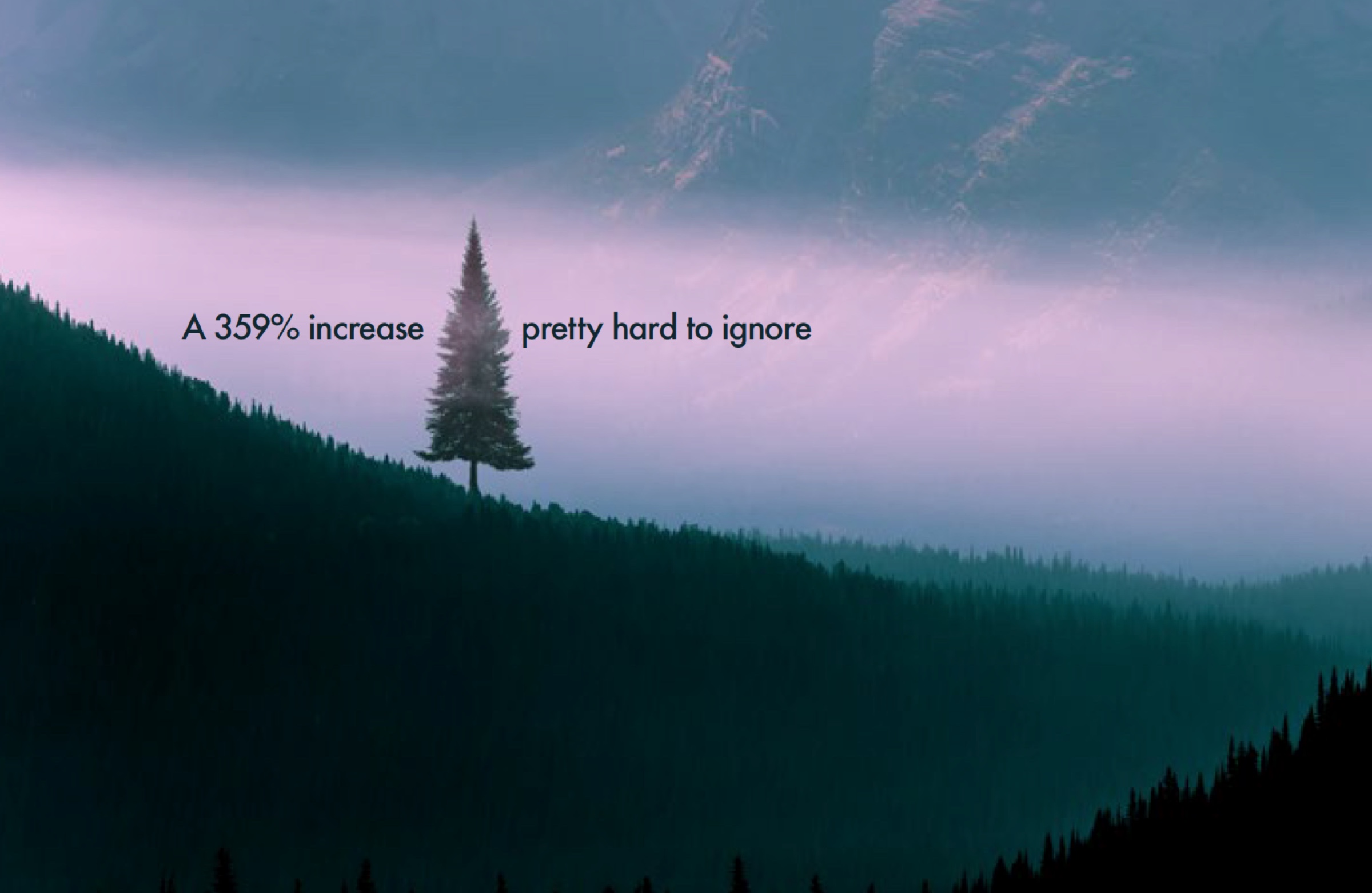 Absurd returns for Forest Holidays 3sixty