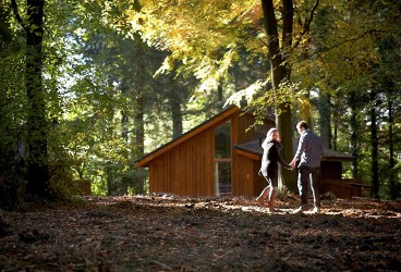 Absurd returns for Forest Holidays